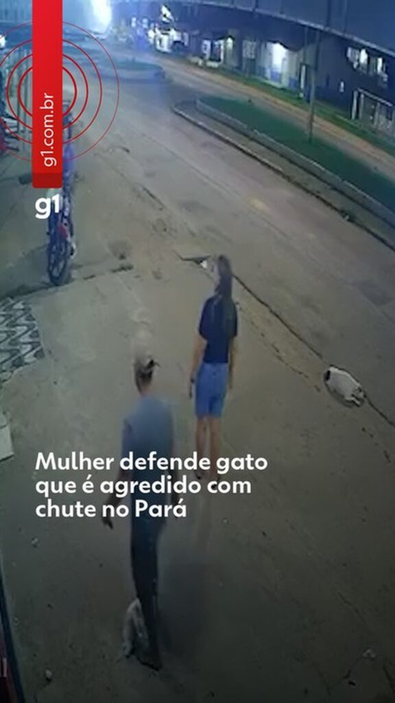 "Gatinho não fez nada": mulher reage a chute em animal no PA