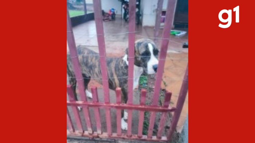 Idoso é preso por suspeita de zoofilia em MT e alega perda de memória