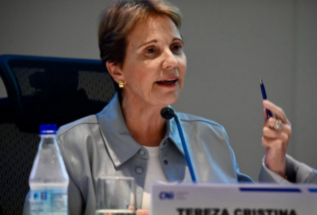 Tereza diz que é cedo para falar em vice de chapa com Flávio Bolsonaro