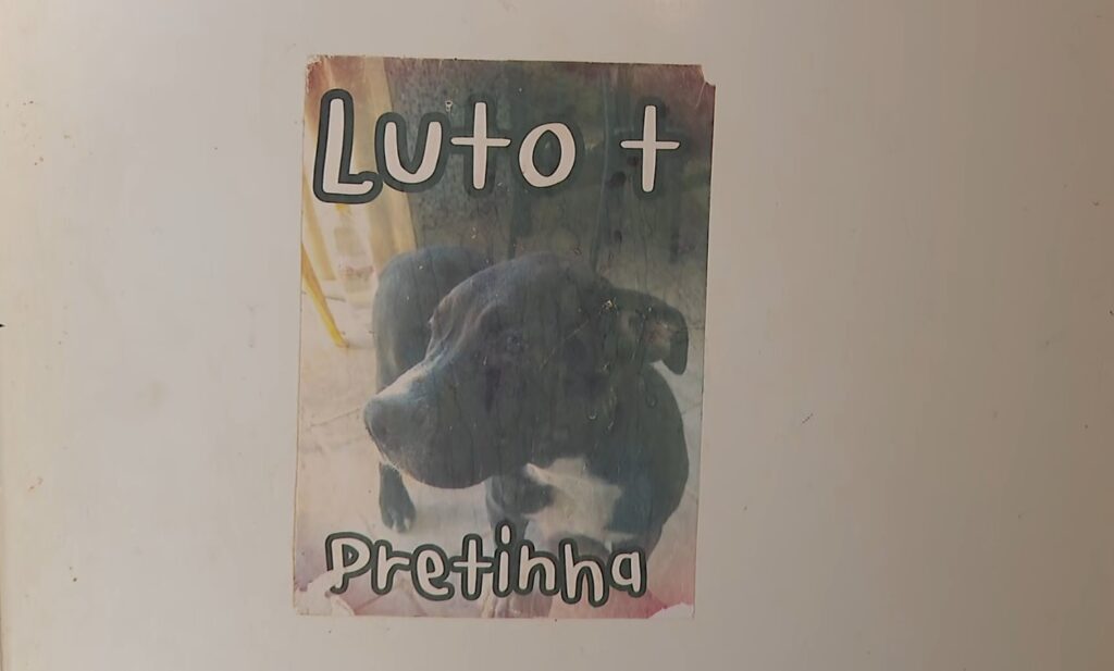 'Nenhum dinheiro no mundo vai trazer ela de volta', diz tutora de cachorra morta a tiros por PM no interior de SP