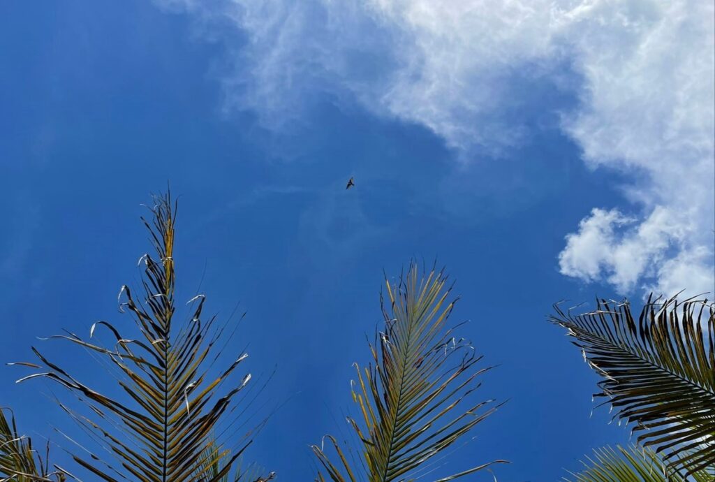 Calor de até 33 °C: como fica o tempo no Triângulo e Alto Paranaíba