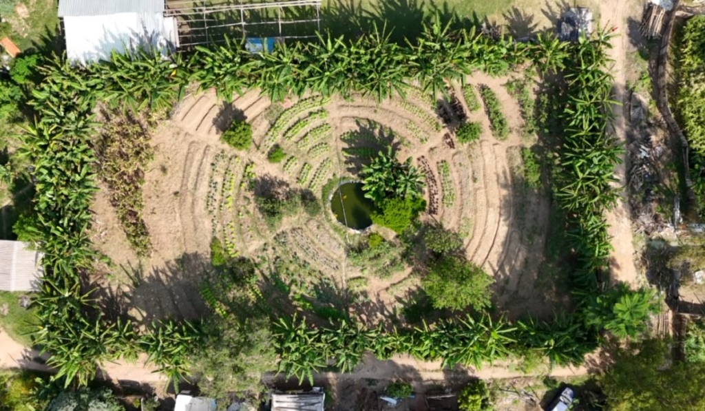 Horta comunitária, produção orgânica, sem saneamento: como é o acampamento 'Marielle Vive', em Valinhos