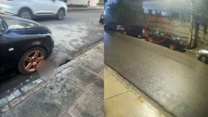 Homem mata capivara a pauladas em rua de Boa Viagem; VÍDEO