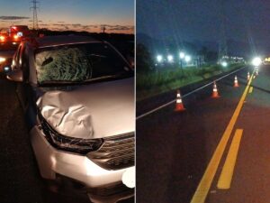 Homem morre atropelado em rodovia no litoral de SP