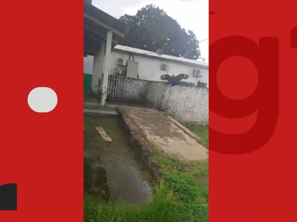 VÍDEO: Família alega abandono de corpo de jovem em hospital e mostra urubus próximos ao local no AC