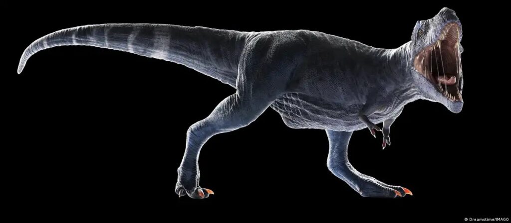 Desvendado o mistério dos braços curtos do T-Rex