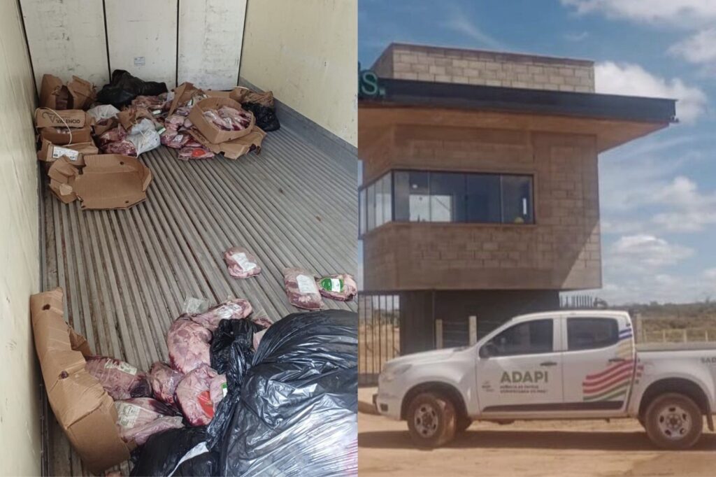 Quase 850 kg de carne de boi vencida são apreendidos em caminhão sem refrigeração no PI