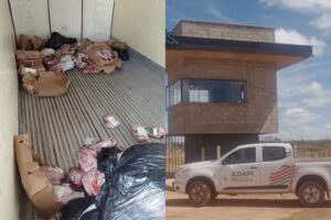 Quase 850 kg de carne de boi vencida são apreendidos em caminhão sem refrigeração no PI