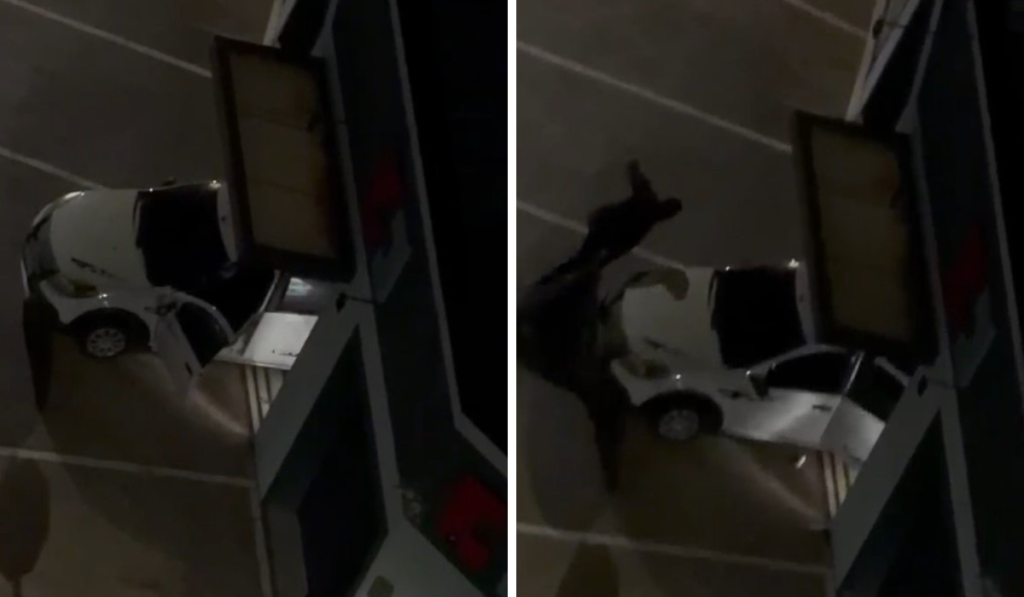 VÍDEO: criminosos usam carro para invadir e furtar farmácia em Campinas