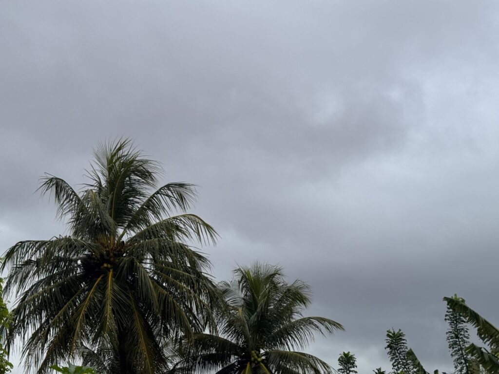 Vinte cidades do Sul do Piauí têm alerta de queda de temperatura de até 5 ºC; veja cuidados
