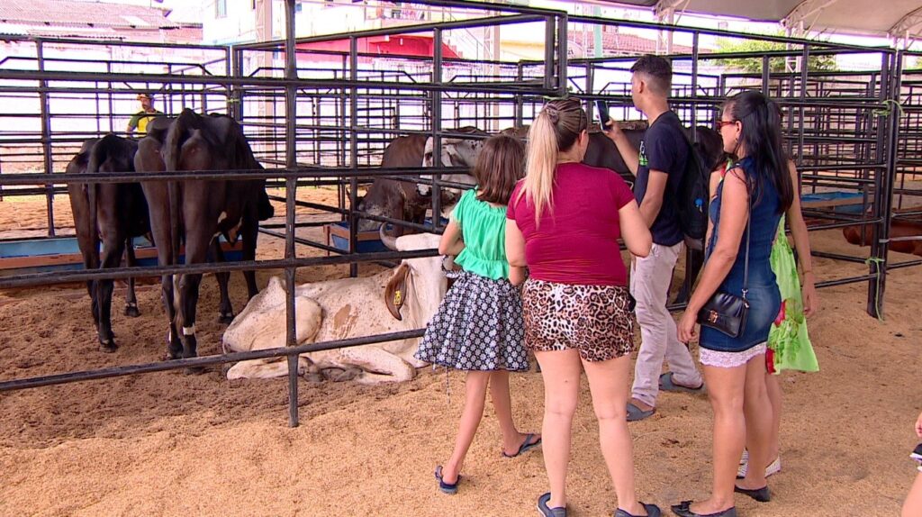 Expoagro 2026 será realizada em agosto após mudança no calendário