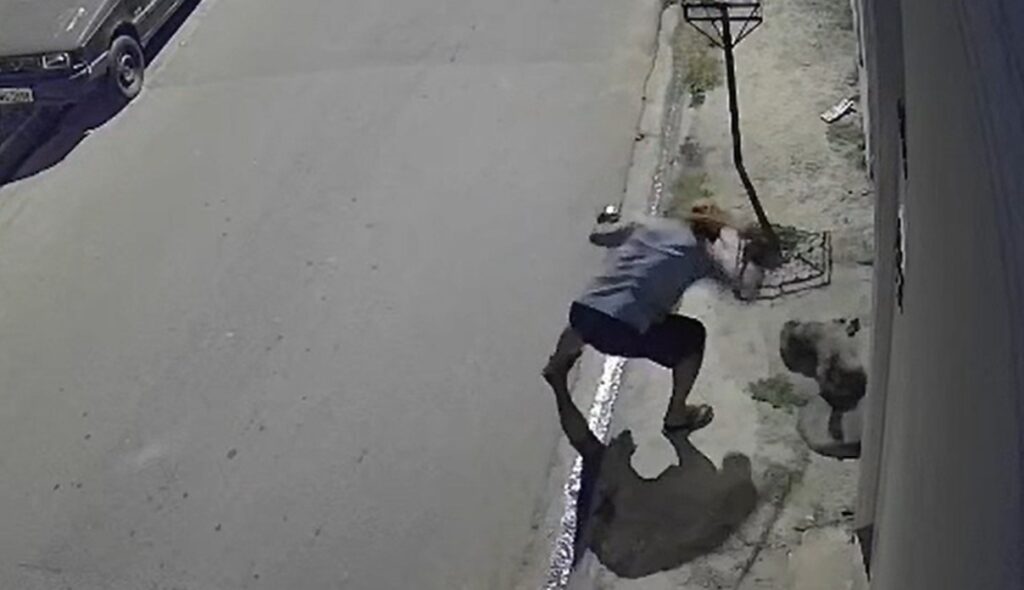 VÍDEO: Homem é preso em flagrante por agredir cachorro a pauladas em Atibaia (SP)
