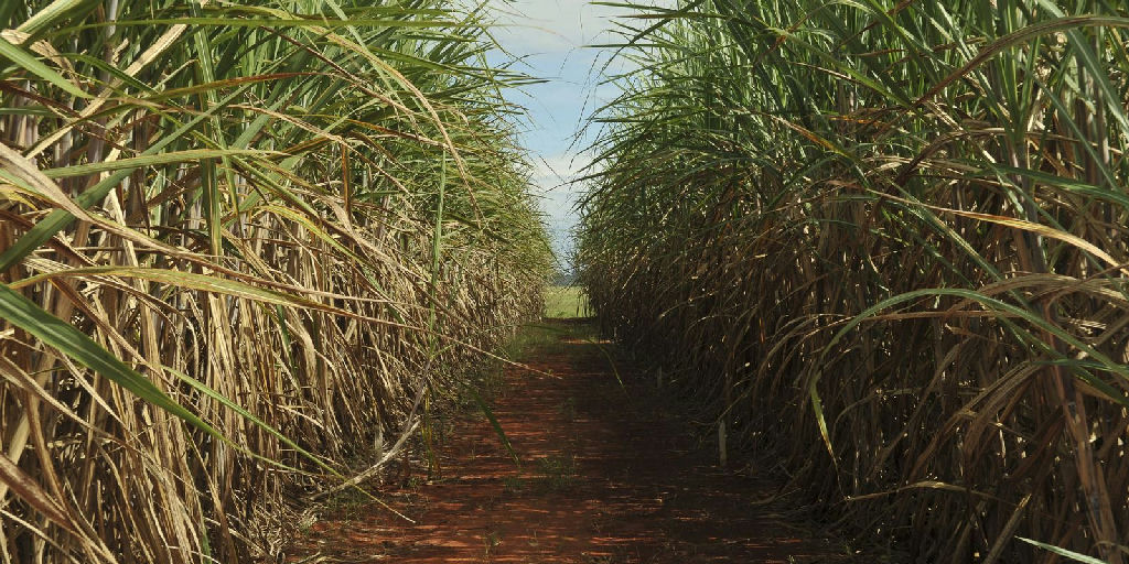 CMN amplia teto de ganhos no Eco Invest Brasil para incentivar projetos verdes