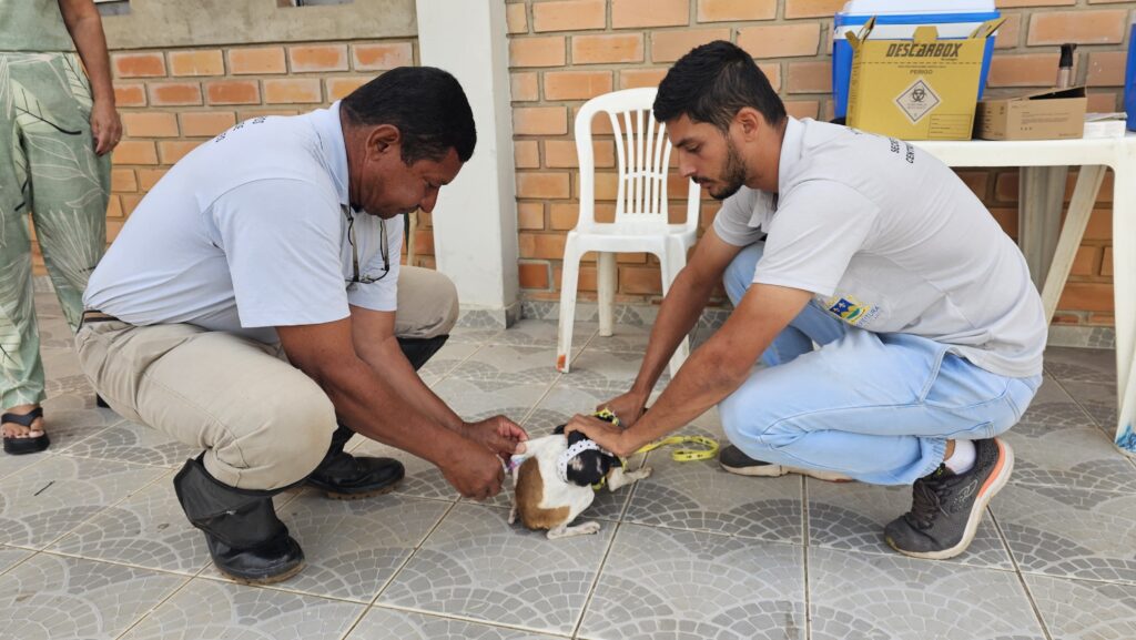 Montes Claros realiza mutirão de vacinação antirrábica para cães e gatos neste sábado
