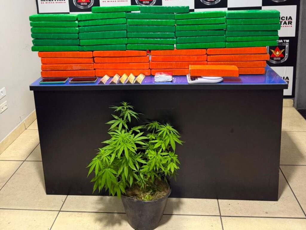 Operação policial em Buritizeiro resulta na apreensão de 57 kg de maconha e prisão de casal