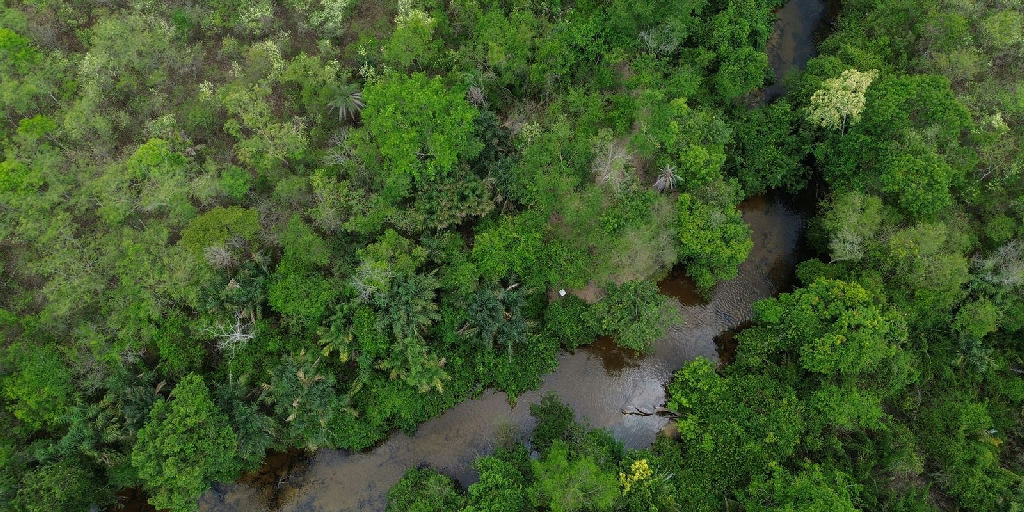 Campanha nacional pressiona candidatos por compromissos reais com a preservação do Cerrado