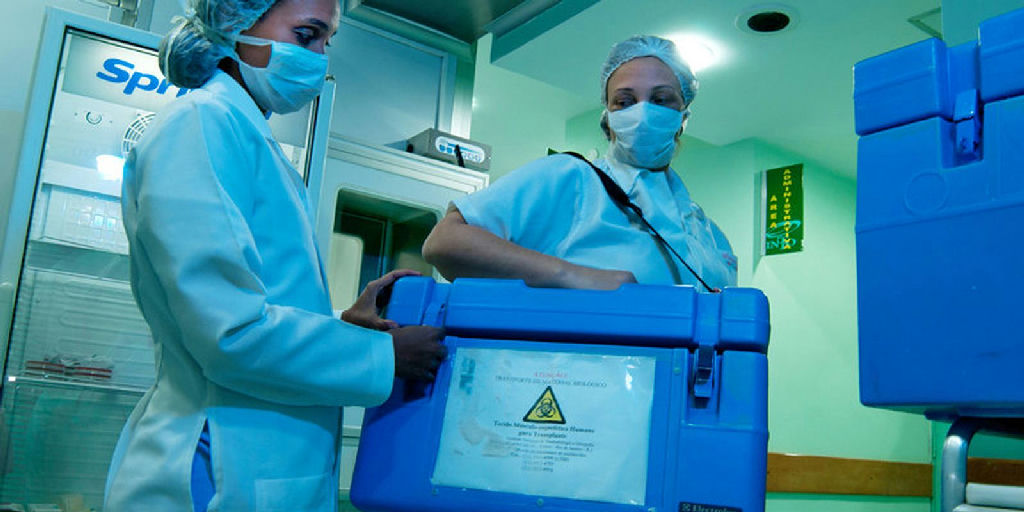 Como registrar em cartório a vontade de ser doador de órgãos no Brasil