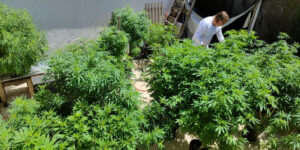 Evento em Fortaleza propõe reforma na política de drogas sob o viés da justiça social