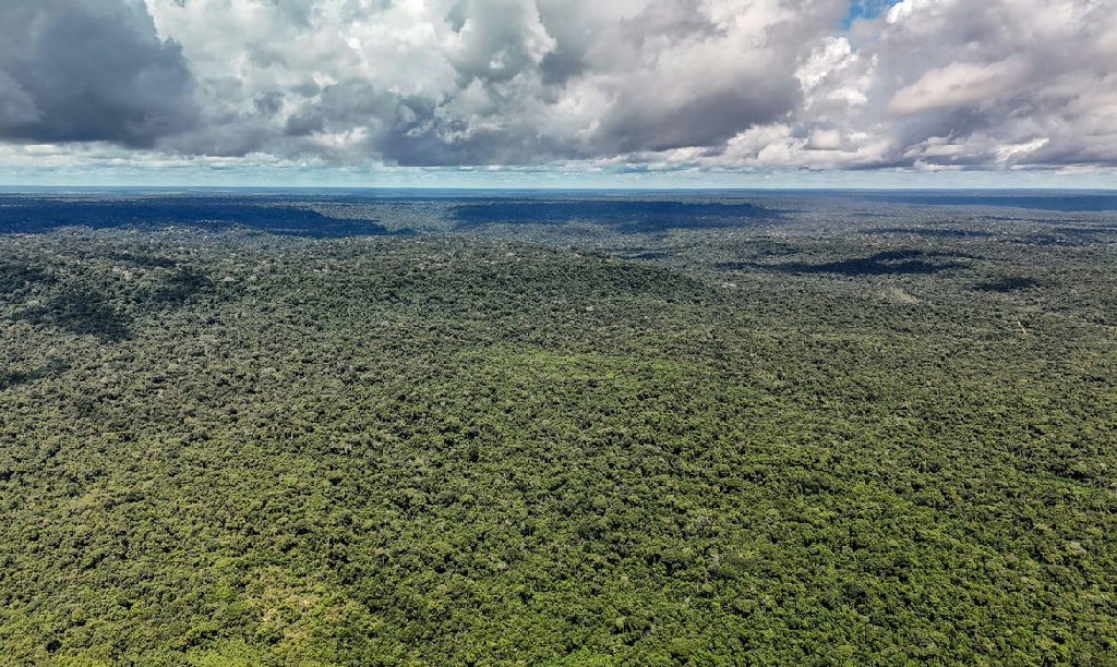 Governo federal libera US$ 1 bilhão do BID para financiar projetos do Eco Invest Brasil
