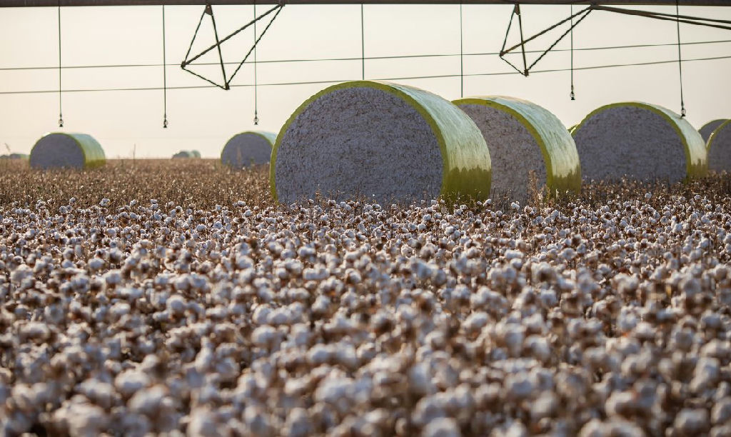 Mudança territorial tira Sorriso do topo da produção agrícola nacional