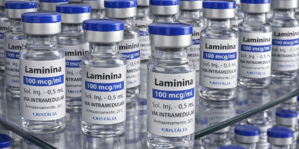 Testes clínicos da polilaminina para lesão medular iniciam em setembro