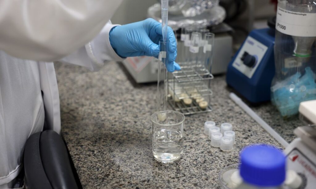 Doença de Newcastle em Santa Catarina avança com protocolos sanitários