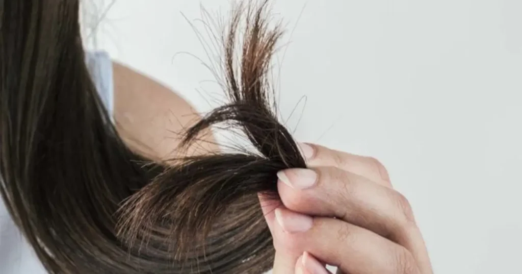 Guia prático para eliminar pontas duplas do cabelo em casa