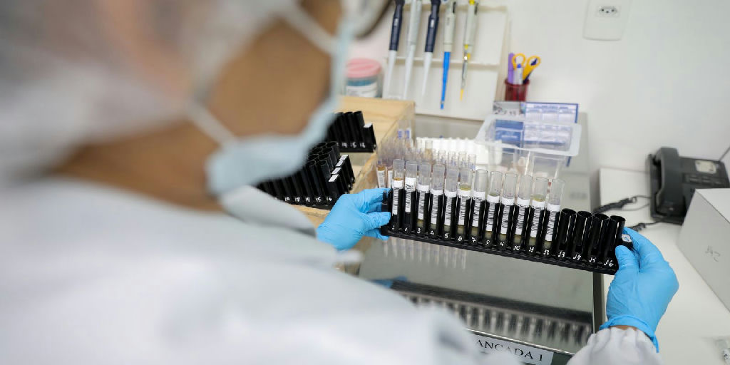 Malária: Anvisa libera testes em humanos de vacina 100% brasileira