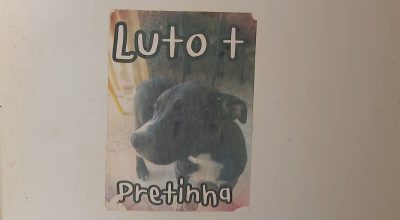 'Nenhum dinheiro no mundo vai trazer ela de volta', diz tutora de cachorra morta a tiros por PM no interior de SP