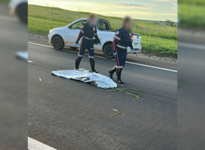 Atropelada e declarada morta por engano: o que se sabe sobre o caso da mulher reanimada em Bauru