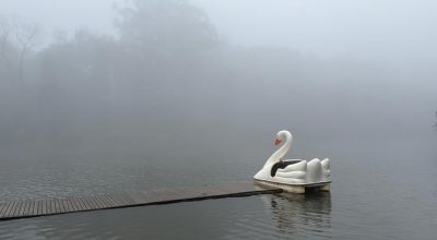 Cadê o Lago Negro? Ponto turístico de Gramado desaparece com nevoeiro