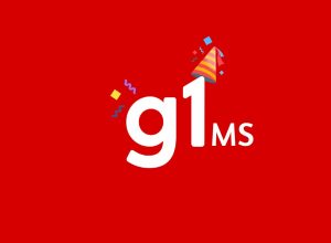 Cão herói, briga em escolas e acidente aéreo de família Huck: o que bombou nos 15 anos de g1 MS