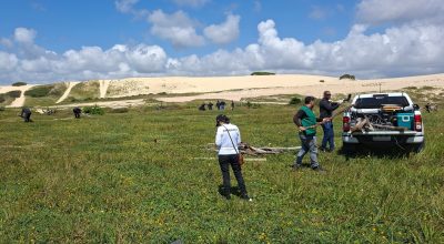 Cercas irregulares são removidas em dunas da Sabiaguaba, em Fortaleza