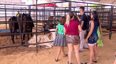 Expoagro 2026 será realizada em agosto após mudança no calendário