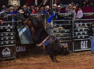 FOTOS: 5ª noite da Festa do Peão de Americana 2026