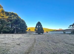Frio abaixo de 0°C congela a paisagem e forma geada na Serra de SC