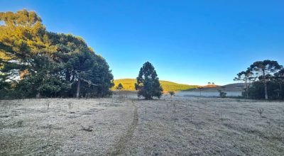 Frio abaixo de 0°C congela a paisagem e forma geada na Serra de SC