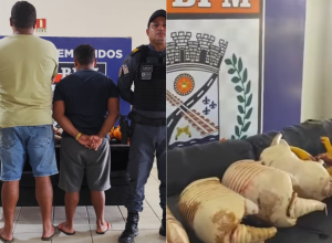 Homem é preso após ser flagrado transportando tatus abatidos na MA-125, na região tocantina