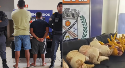 Homem é preso após ser flagrado transportando tatus abatidos na MA-125, na região tocantina