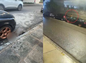 Homem mata capivara a pauladas em rua de Boa Viagem; VÍDEO