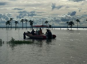 Homem morre afogado enquanto nadava em praia de Palmas, dizem testemunhas