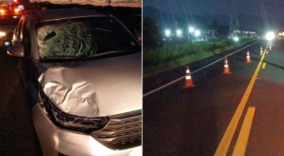 Homem morre atropelado em rodovia no litoral de SP