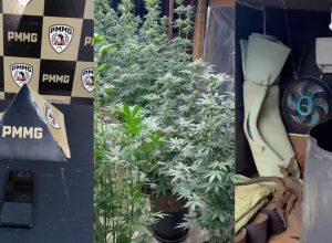 Mãe que revelou estufa do filho furtou celular de médico em Uberlândia