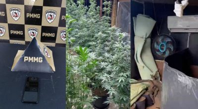 Mãe que revelou estufa do filho furtou celular de médico em Uberlândia