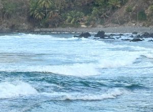 Médica morre no Recife após afogamento em Fernando de Noronha; marido morreu no dia do acidente