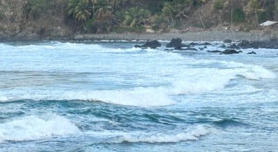 Médica morre no Recife após afogamento em Fernando de Noronha; marido morreu no dia do acidente