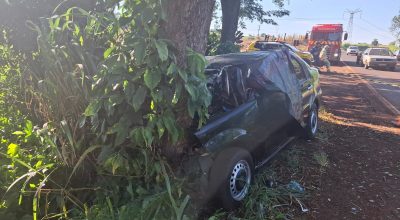 Motorista e passageira morrem após carro com placas do Paraguai bater contra árvore no Paraná