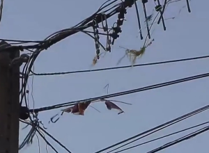 Paraíba registra 54 acidentes com pipas na rede elétrica no primeiro semestre de 2026