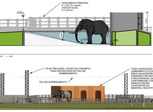 Projeto de R$ 3,1 milhões para recinto do elefante Sandro em Sorocaba levou 3 anos e segue travado na prefeitura