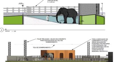 Projeto de R$ 3,1 milhões para recinto do elefante Sandro em Sorocaba levou 3 anos e segue travado na prefeitura